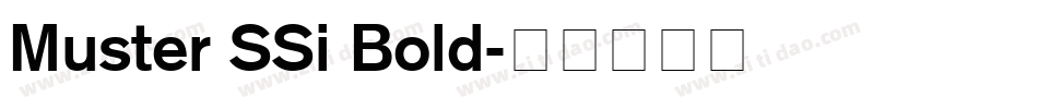 Muster SSi Bold字体转换